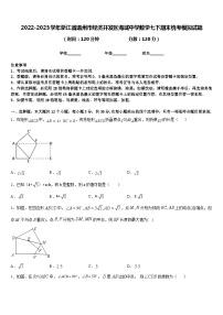 2022-2023学年浙江省温州市经济开发区海城中学数学七下期末统考模拟试题含答案