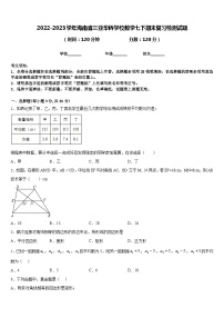 2022-2023学年海南省三亚华侨学校数学七下期末复习检测试题含答案