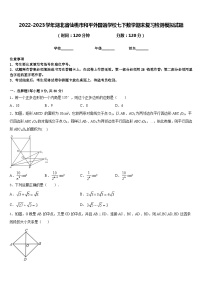 2022-2023学年湖北省仙桃市和平外国语学校七下数学期末复习检测模拟试题含答案