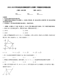 2022-2023学年湖北武汉黄陂区数学七年级第二学期期末统考模拟试题含答案