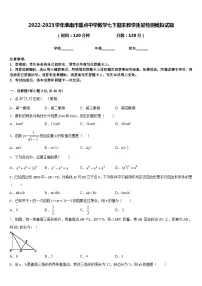 2022-2023学年淮南市重点中学数学七下期末教学质量检测模拟试题含答案