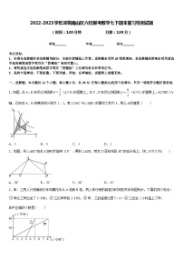 2022-2023学年深圳南山区六校联考数学七下期末复习检测试题含答案