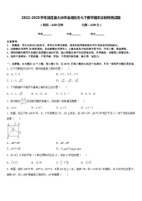 2022-2023学年湖北省大冶市金湖街办七下数学期末达标检测试题含答案