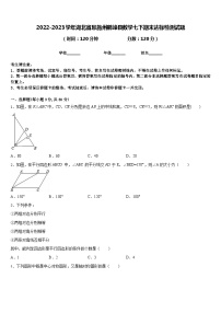 2022-2023学年湖北省恩施州鹤峰县数学七下期末达标检测试题含答案