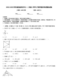 2022-2023学年湖北省武汉市七一（华源）中学七下数学期末考试模拟试题含答案