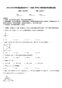 2022-2023学年湖北省武汉市七一（华源）中学七下数学期末考试模拟试题含答案