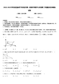 2022-2023学年湖北省咸宁市赤壁市第一初级中学数学七年级第二学期期末统考模拟试题含答案