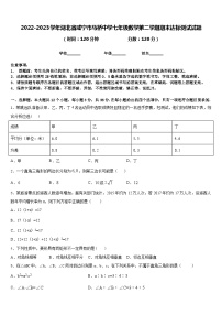 2022-2023学年湖北省咸宁市马桥中学七年级数学第二学期期末达标测试试题含答案