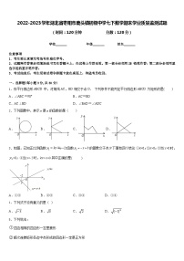 2022-2023学年湖北省枣阳市鹿头镇初级中学七下数学期末学业质量监测试题含答案