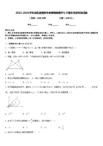 2022-2023学年湖北省黄冈市季黄梅县数学七下期末质量检测试题含答案