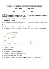 2022-2023学年湖北省武汉梅苑学校七下数学期末达标检测模拟试题含答案