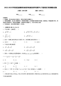 2022-2023学年湖北省黄冈市麻城市思源实验学校数学七下期末复习检测模拟试题含答案