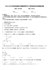 2022-2023学年湖北省黄石市新建初级中学七下数学期末综合测试模拟试题含答案