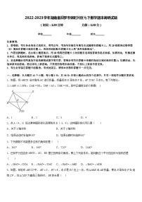 2022-2023学年湖南省汨罗市弼时片区七下数学期末调研试题含答案