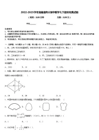 2022-2023学年湖南省师大附中数学七下期末经典试题含答案
