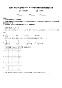 黑龙江省大庆市龙凤区2022-2023学年七下数学期末检测模拟试题含答案