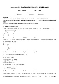 2022-2023学年湖南省醴陵市青云学校数学七下期末统考试题含答案