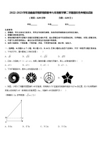 2022-2023学年湖南省邵阳邵阳县联考七年级数学第二学期期末统考模拟试题含答案