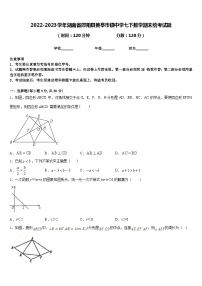 2022-2023学年湖南省邵阳县黄亭市镇中学七下数学期末统考试题含答案