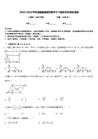 2022-2023学年湖南省益阳市数学七下期末综合测试试题含答案