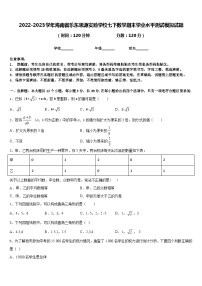 2022-2023学年海南省乐东思源实验学校七下数学期末学业水平测试模拟试题含答案