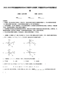 2022-2023学年湖南省娄底市冷水江市数学七年级第二学期期末学业水平测试模拟试题含答案