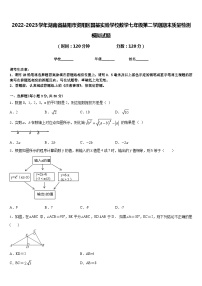 2022-2023学年湖南省益阳市资阳区国基实验学校数学七年级第二学期期末质量检测模拟试题含答案