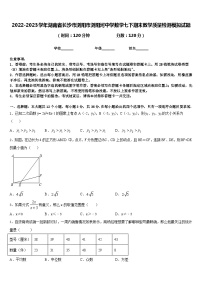 2022-2023学年湖南省长沙市浏阳市浏阳河中学数学七下期末教学质量检测模拟试题含答案