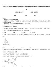 2022-2023学年湖南省长沙市长沙天心区青雅丽发学校数学七下期末综合测试模拟试题含答案