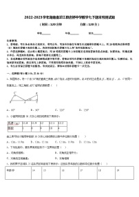 2022-2023学年湖南省芷江县岩桥中学数学七下期末检测试题含答案