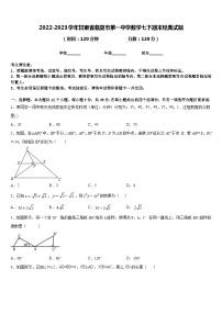 2022-2023学年甘肃省临夏市第一中学数学七下期末经典试题含答案