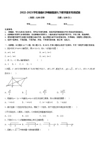 2022-2023学年湖南长沙明德集团七下数学期末检测试题含答案