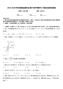 2022-2023学年甘肃省金昌市金川区宁远中学数学七下期末质量检测试题含答案