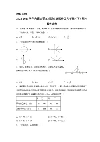 内蒙古鄂尔多斯市康巴什区2022-2023学年八年级下学期期末数学试卷（含答案）