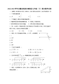 安徽省芜湖市南陵县2022-2023学年七年级下学期期末数学试卷（含答案）