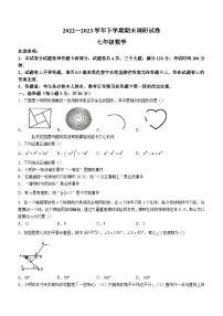 河南省平顶山市鲁山县2022-2023学年七年级下学期期末数学试题