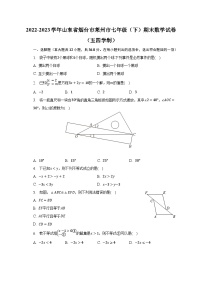 2022-2023学年山东省烟台市莱州市七年级（下）期末数学试卷（五四学制）（含解析）