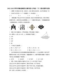 2022-2023学年河南省南阳市唐河县七年级（下）期末数学试卷（含解析）