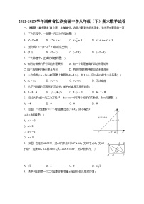 2022-2023学年湖南省长沙重点中学八年级（下）期末数学试卷（含解析）
