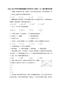 2022-2023学年河南省南阳市邓州市八年级（下）期末数学试卷（含解析）