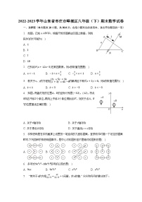 2022-2023学年山东省枣庄市峄城区八年级（下）期末数学试卷-（含解析）