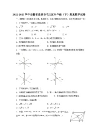 2022-2023学年安徽省芜湖市弋江区八年级（下）期末数学试卷（含解析）