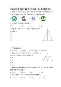 2022-2023学年四川省泸州市八年级（下）期末数学试卷（含解析）