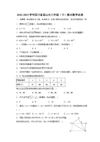 2022-2023学年四川省眉山市八年级（下）期末数学试卷（含解析）