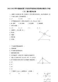 2022-2023学年福建省厦门外国语学校海沧附校教育集团七年级（下）期中数学试卷（含解析）