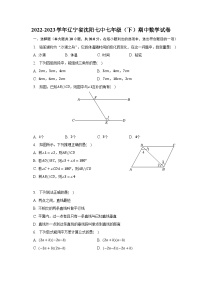 2022-2023学年辽宁省沈阳七中七年级（下）期中数学试卷（含解析）