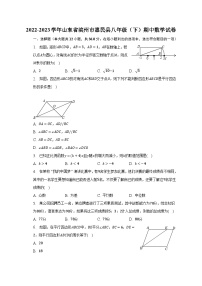 2022-2023学年山东省滨州市惠民县八年级（下）期中数学试卷（含解析）