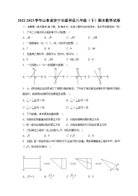 2022-2023学年山东省济宁市嘉祥县八年级（下）期末数学试卷（含解析）