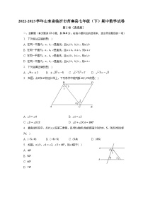 2022-2023学年山东省临沂市莒南县七年级（下）期中数学试卷（含解析）