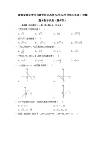 湖南省益阳市大通湖管理区两校2022-2023学年八年级下学期期末数学试卷 （含答案）